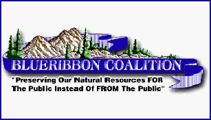 Blue Ribbon Coalition Logo